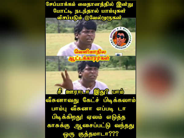 பாம்பு மீம்