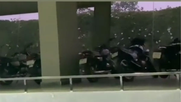 தோனியின் அழகான ஆர்வம்