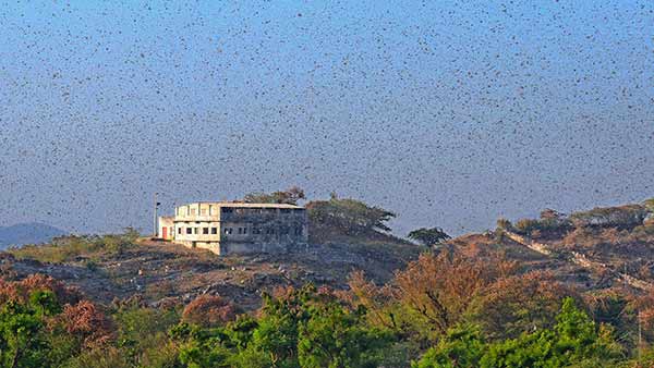 மும்பையில் கடும் பீதி